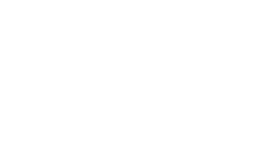SPIN PRO 2.0